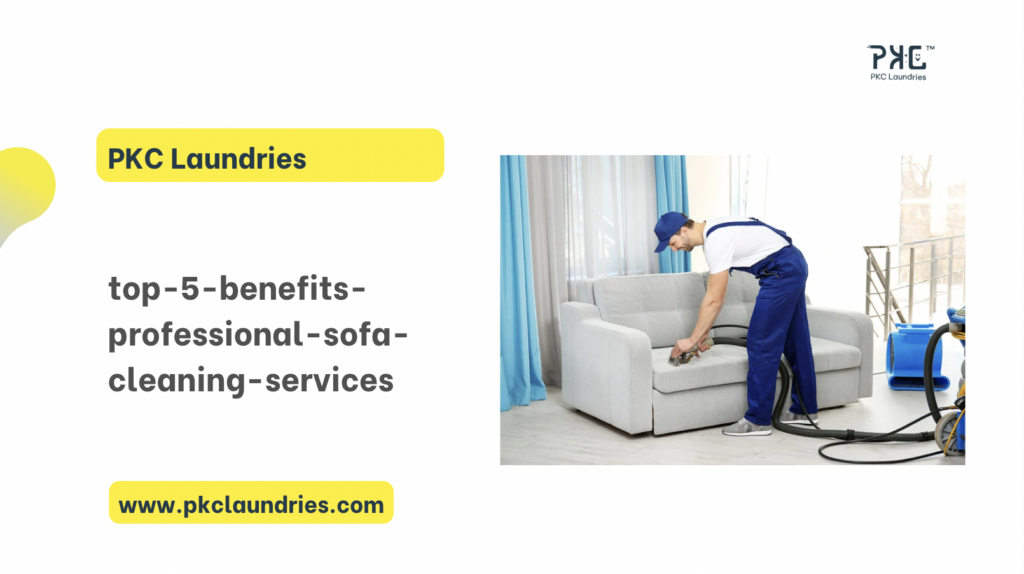 sofa deep cleaning